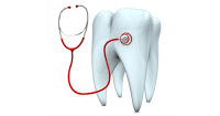 Illustration of teeth dental